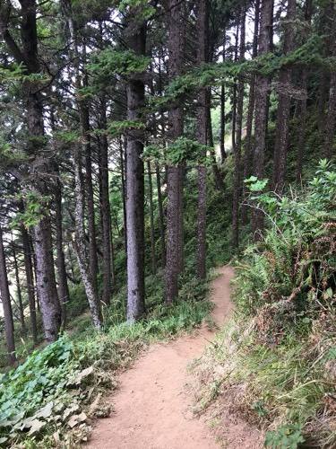 Ecola trail