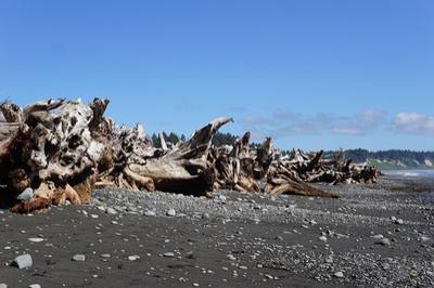 Rialto Beach